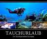 Tauchurlaub in der Top Tauchregion des...